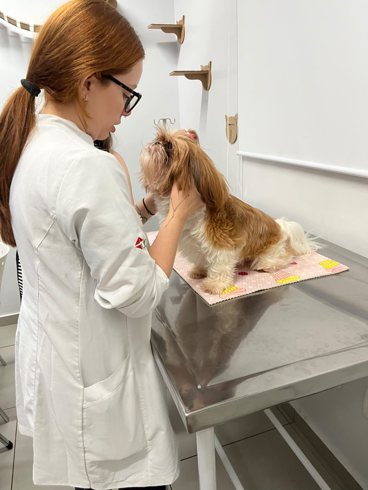 Atendimento veterinário na Clínica Rosso