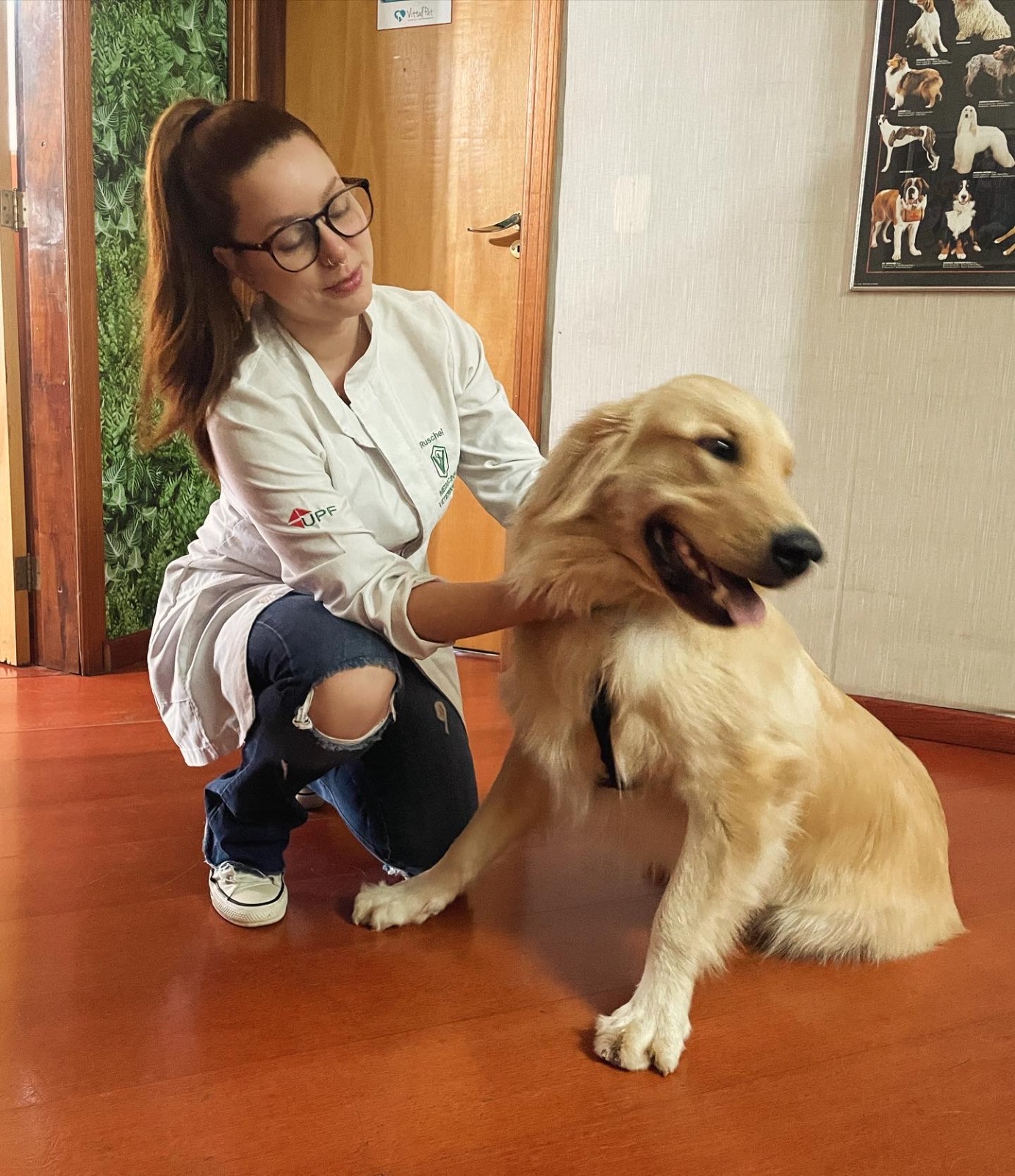 Heloise acolhendo um cão da raça golden retriever